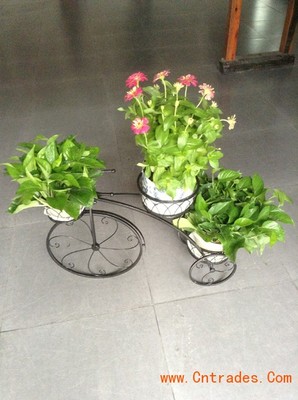 客家園藝 專業(yè)室內(nèi)花木租擺，綠化植物租賃首選